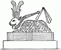 Dification d'un veau ou jeune taureau avec des taches.